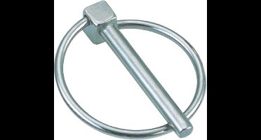 Borgpen met ring 6,0 mm RVS-316