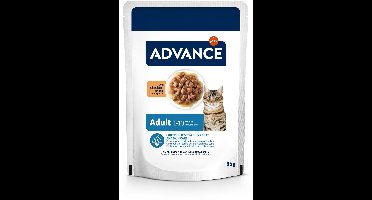 Advance cat adult chicken