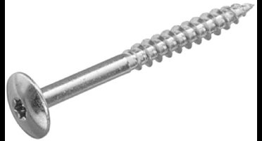 Schroeven voor montage Trespa platen - Torx 20 - 4,8x50mm - RVS - Deeldraad - Blank RVS (100 stuks)