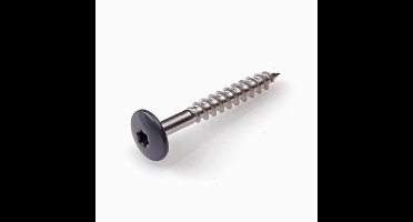 Schroeven voor montage Trespa platen - Torx 20 - 4,8x32mm - RVS - Deeldraad - Antraciet RAL 7016 (100 stuks)