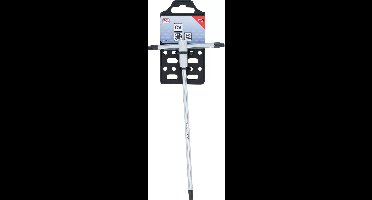 BGS Schroevendraaier met T-schuifgreep - Torx - T40