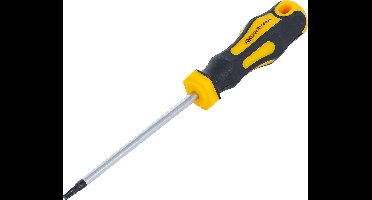 BGS Schroevendraaier - Torx T15 - Meslengte 100 mm