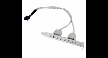 Pin Header bracket USB2.0 (v) - 2x USB-A (v) - 0,25 meter