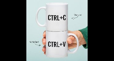 Ditverzinjeniet.nl Mok Ctrl+c/v