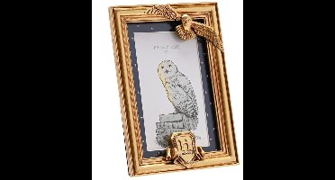 Harry Potter Hedwig Unisex Decoratieve Artikelen - goudkleurig - Standard
