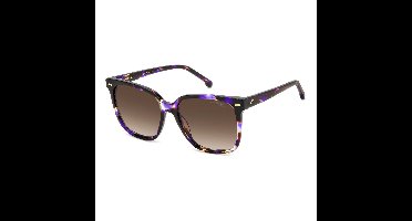 CARRERA CARRERA 3002/S HKZ VIOLET HAVANA 55/16/140 Vrouw Zonnebrillen