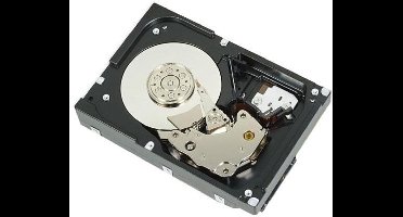 DELL 529FG interne harde schijf 4 TB 7200 RPM 3.5" SAS