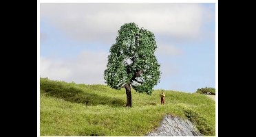 NOCH 20111 Boom Eik 100 mm 1 stuk(s)