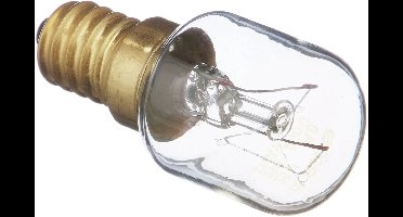 Bosch Lamp 25W E14 Koelkast KG35V420, KG33VV43 00170218