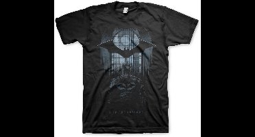 Batman I Am The Shadows T-Shirt Black-2XL