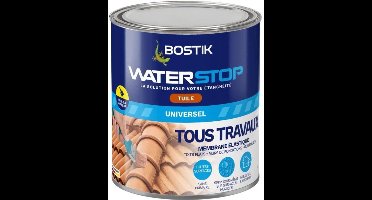 Waterdichtingsmembraan - BOSTIK - Waterstop - Lekreparatie - Pot van 1 kg - Tegelkleur