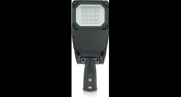 LED Straatlamp - Esher - 50W - IP66 - 4000K - 5 jaar garantie - 1 meter kabel