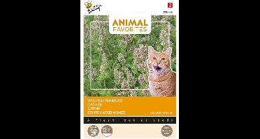 Wild kattenkruid