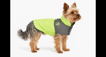 Hondenjas – Regenjas hond – Water- en winddichte hondenregenjas met fleece – Flamingo Regenjas Juno Groen – 30 cm