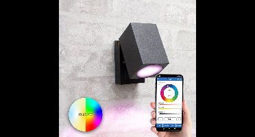 Antraciete rechte wandlamp voor buiten - Milight GU10 spot - Kantelbare down light - Slimme verlichting - Smart light - Smart lamp