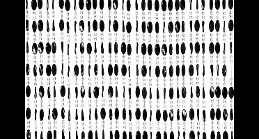 Wicotex - Charlotte vliegengordijn - 90x220cm - zwart