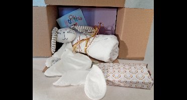 Baby Cadeau Pakket- Geboorte Cadeau-Baby geschenk pakket-Met geborduurde naam op Badcape-0Kraam mand voor Meisjes & Jongens-Geboorte geschenk set met Funnies Badcape, Slabbetje, en Tutlap in doosje. voor o.a. een baby shower