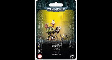 Orks Painboss