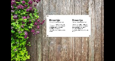 Tuinposter Broertje - Quotes - Broertje definitie - Woordenboek - Spreuken - 60x30 cm - Tuindoek