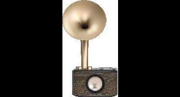 Sangean WR-45X -Bluetooth Radio - Mat Goud