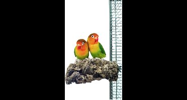 Back Zoo Nature Corky Chew Small