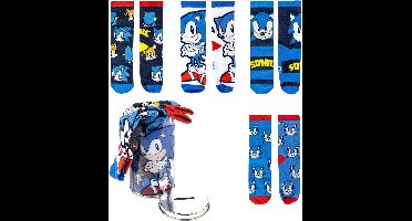 Sonic the Hedgehog Sokken in Spaarpot - 4 Paar Sokken Jongens Meisjes