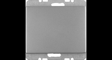 Berker K5 Afdekplaat RVS