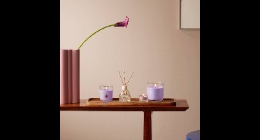 Bolsius - Geurtheelicht - 30 stuks per verpakking - Orchid Scented