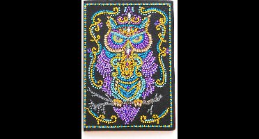 Notitieboekje - HM004 - Uil - Diamond painting - compleet pakket - diamond painting by Wietske