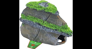 De Boon Rots Met Lagen + Mos