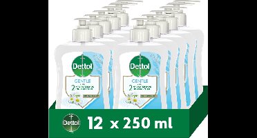 Dettol Handzeep Kamille & Katoenbloesem (Gentle) 12 x 250ml - Antibacterieel - Voordeelverpakking
