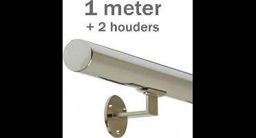 RVS Gepolijst Trapleuning 100 cm met 2 houders