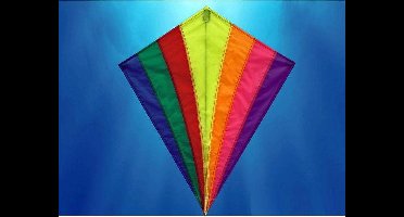 Twisk Regenboog Vlieger - Diamant vlieger 82x88 cm