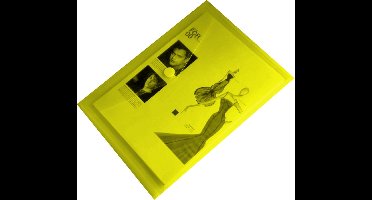 10x EXXO-HFP - #90153 - A4 Documentenmap - Landschap model - Klitsluiting - Geel