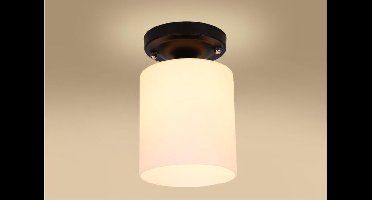 Groenovatie Plafondlamp E27 Fitting - 130x190 mm