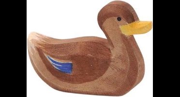 Ostheimer Eend zwemmend