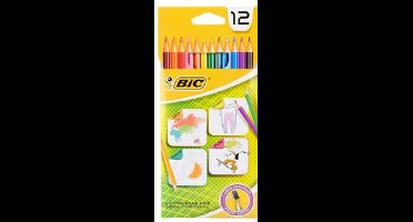 BIC Kleurpotloden - 12 stuks