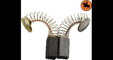 Koolborstelset voor Miller Falls (verschillende) - 6,4x6,4x12mm