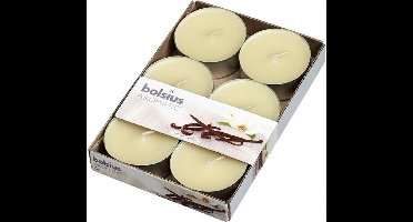 Bolsius Maxi geurtheelichten doos a 6