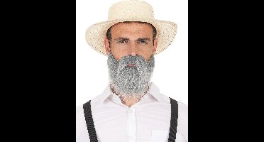 Vegaoo - Grijze snor en baard voor volwassenen