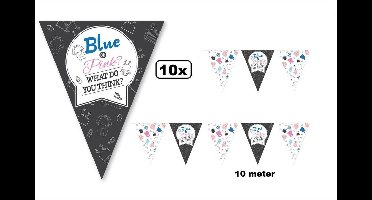 10x Vlaggenlijn 10 meter Gender Reveal - Geboorte thema feest gender vlaglijn zoon dochter baby