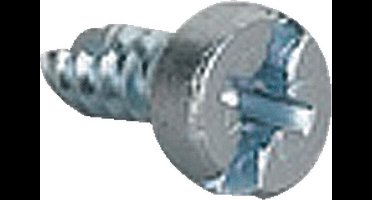 Eaton Schroef, M6x12, draadvormend, lenskop, vorm C, verzinkt, 141865