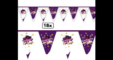 18x Vlaggenlijn Geslaagd 6 meter