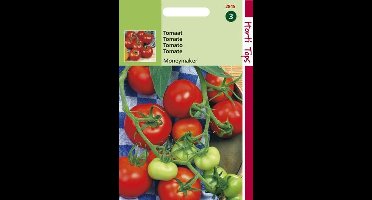Hortitops Zaden - Tomaten Moneymaker