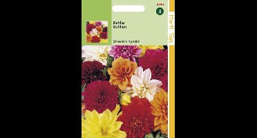 Hortitops Zaden - Dahlia Variabilis Unwin'S Hybride Gemengd