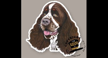 Magneet Hond Engelse Springer Spaniel