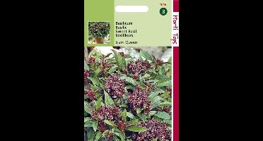 Hortitops Zaden - Basilicum Siam Queen