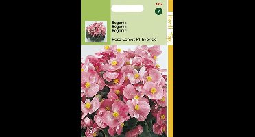 Hortitops Zaden - Begonia Semp. F1 Hybride Rose Komeet