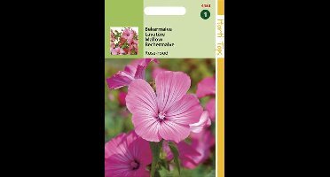 Hortitops Zaden - Lavatera Trimestris Rose/Rood