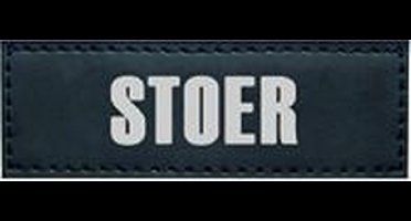 Nobby seguro sticker stoer - hond - 3 x 9 cm - 2 stuks